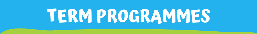 term programmes